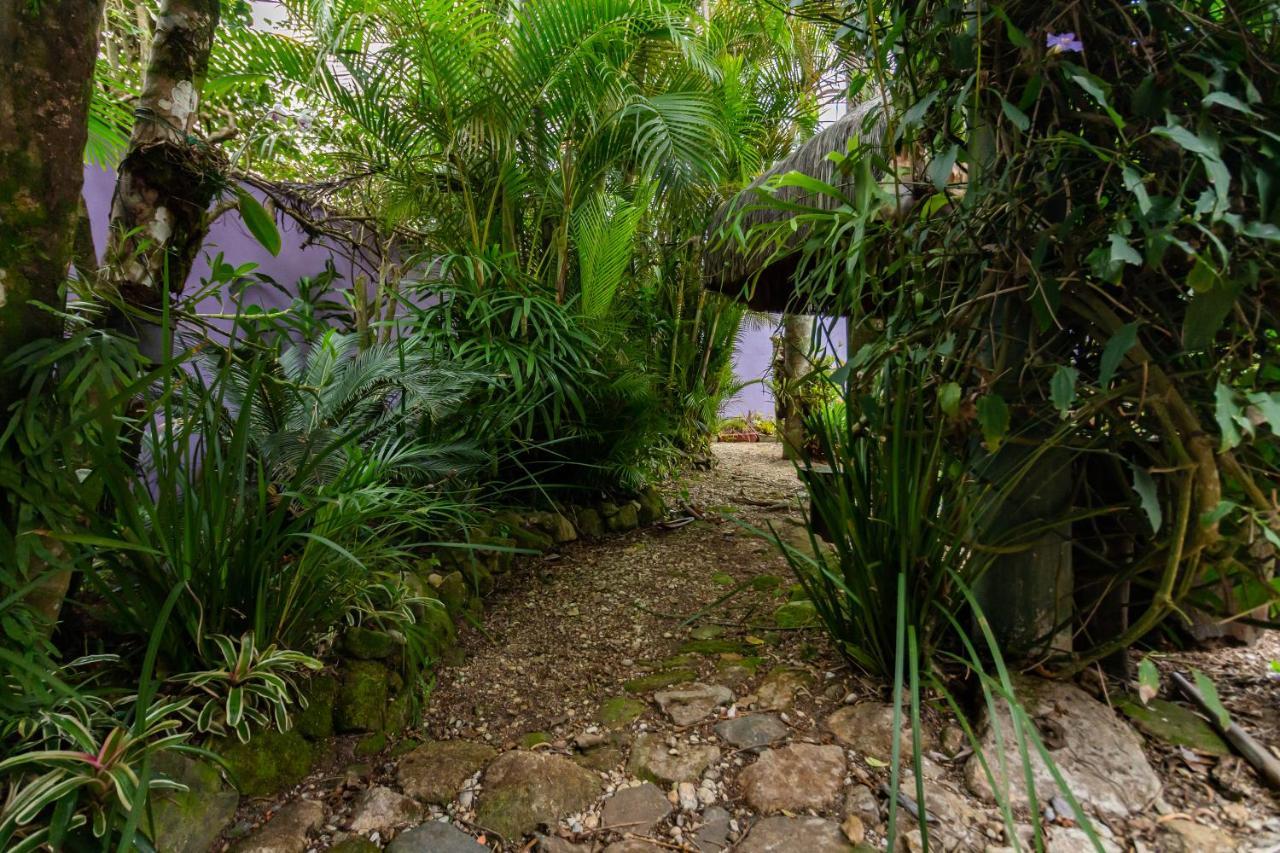 O Paraiso Em Peruibe Casa Para Ate 25 Pessoas Dış mekan fotoğraf
